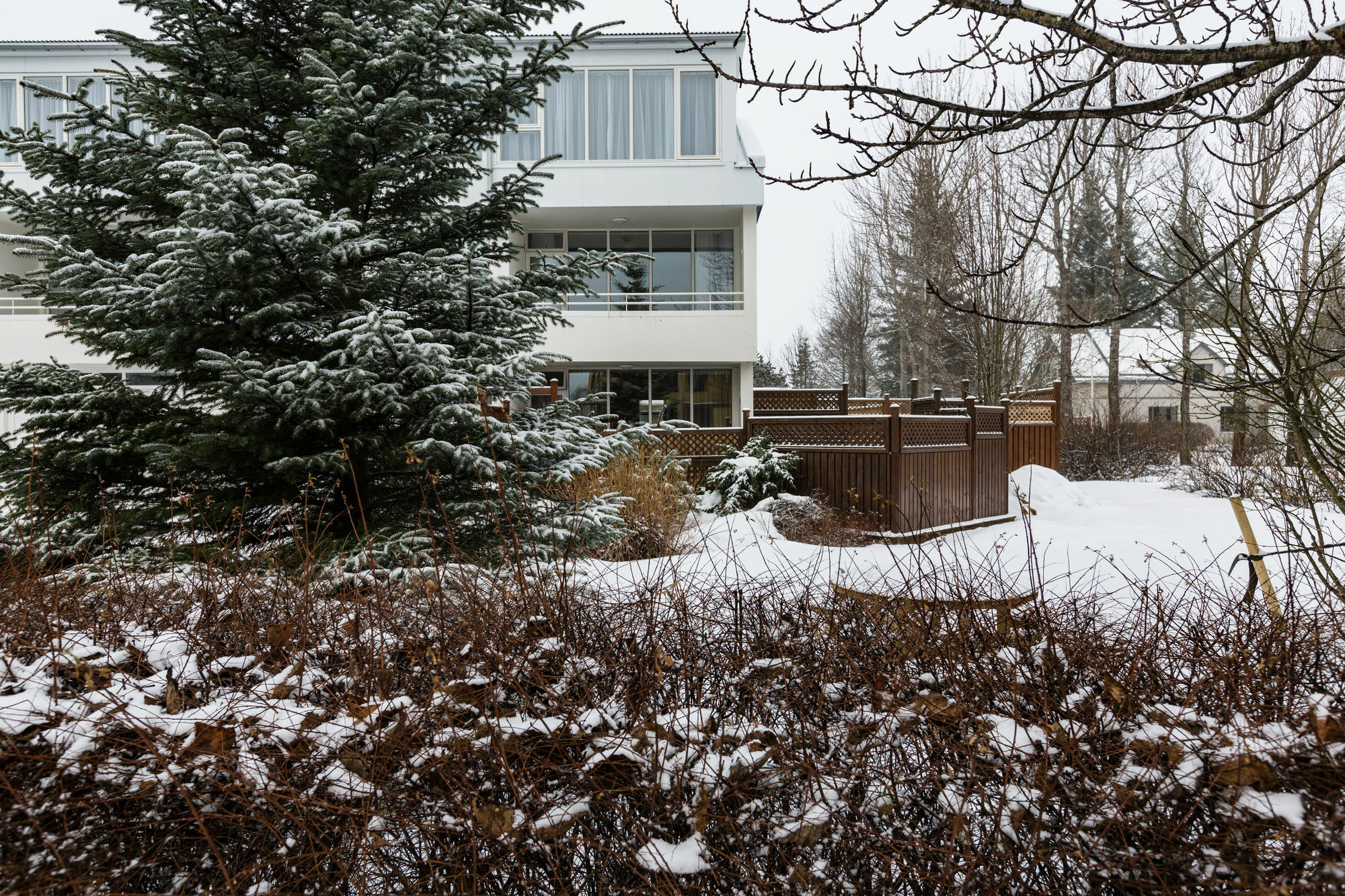 Guesthouse Garun Skolavellir Селфос Екстериор снимка